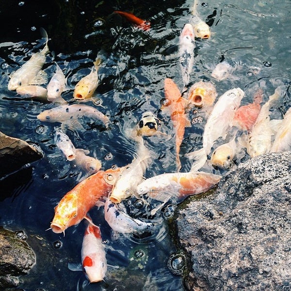 Royal Car Wash & Lube Wayne, NJ