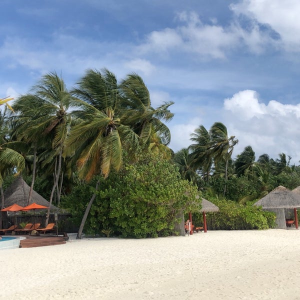 Vilu Reef Beach and Spa Resort