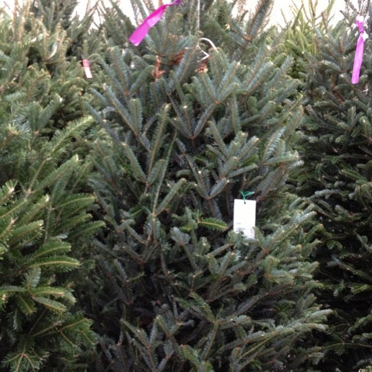 Photos at Pikes Nurseries East Chastain Park 5 tips from 491 visitors