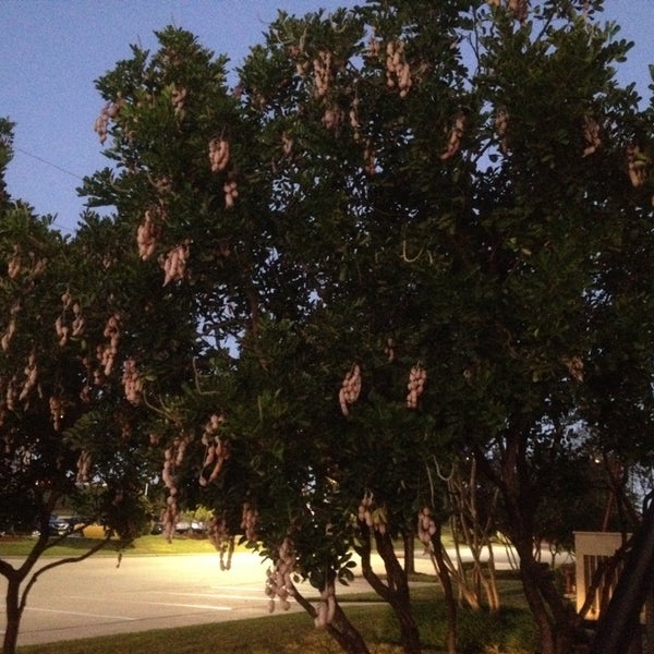 Foto tirada no(a) SpringHill Suites Austin North/Parmer Lane por jody s. em 10/24/2013