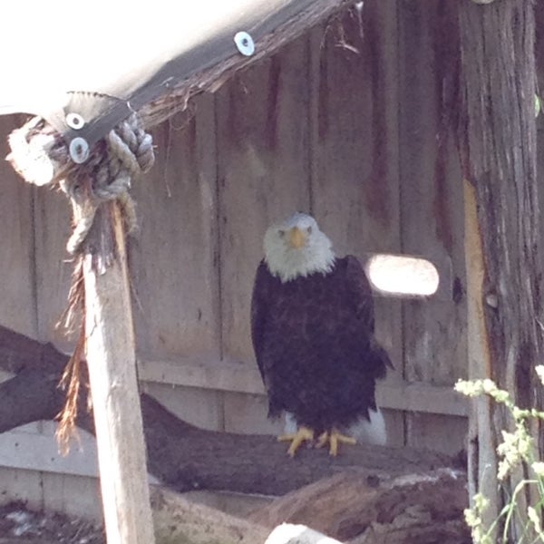 Photo taken at Columbian Park Zoo by Roger T. on 5/26/2014