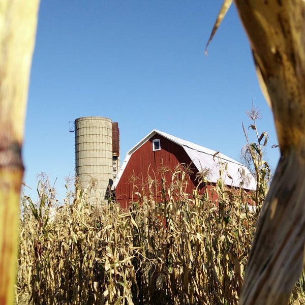 Barkham Creek Farms 19 visitors