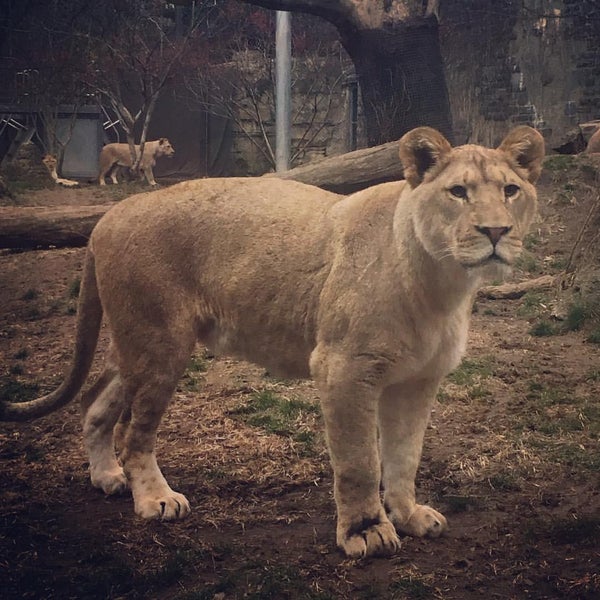Photo taken at Philadelphia Zoo by Bradley S. on 12/17/2015