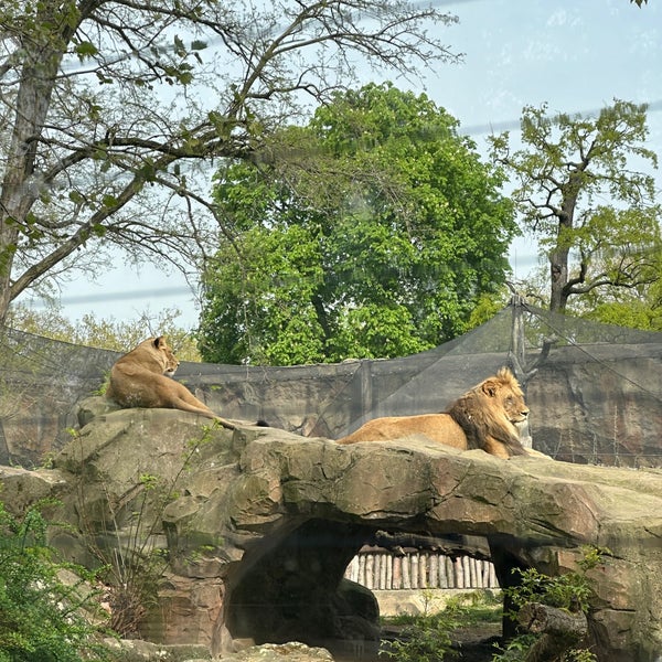 Photo taken at Zoo Berlin by Anastasiia P. on 4/9/2024