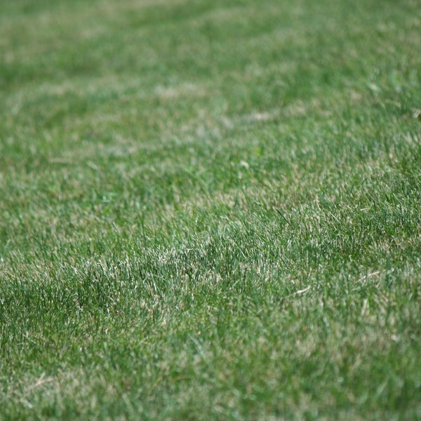 Deer Run Soccer Park Other Great Outdoors