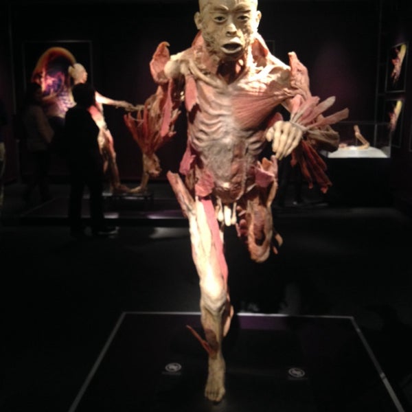 The Human Body Exhibition (Artık Kapalı) Sanat Müzesi