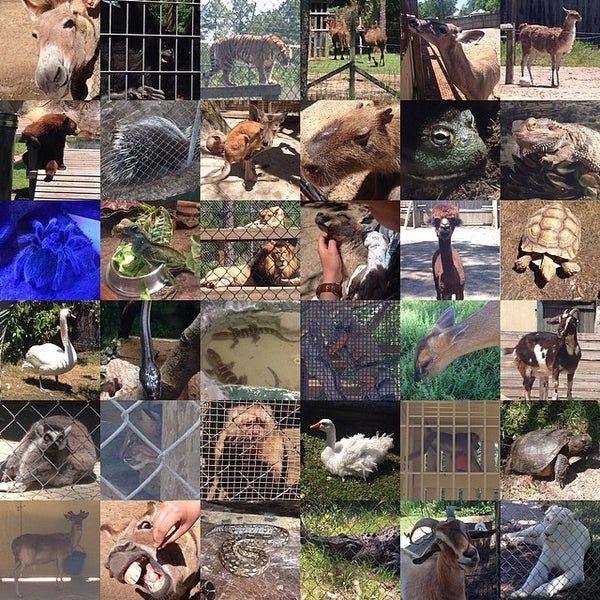 รูปภาพถ่ายที่ Alabama Gulf Coast Zoo โดย Michael V. เมื่อ 5/16/2014