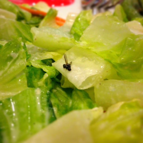 Try the Fly Salad!