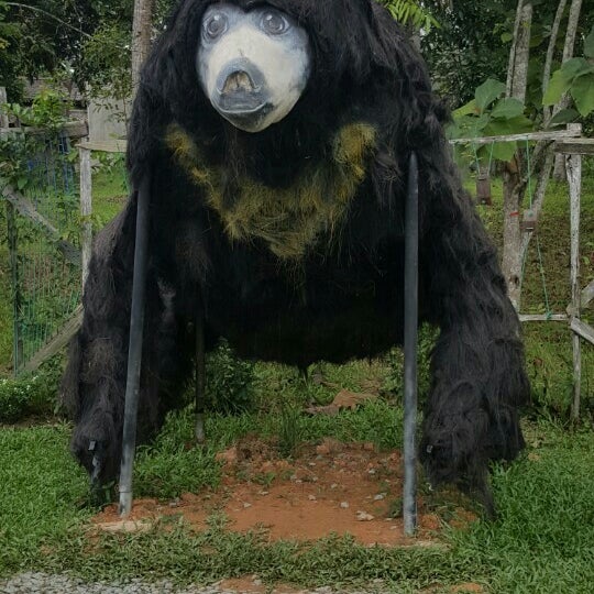The Bears Conservation Park Park The Bears Conservation Park Park