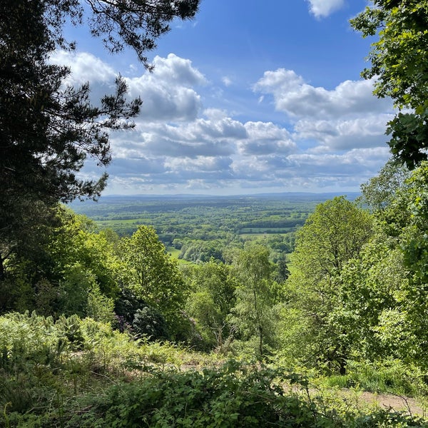 View low. Трасса в лесу. Переулок сан-франциско. Современный город и природа реферат. Грин форест парк.