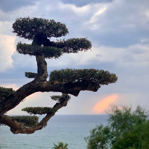 8/9/2020 tarihinde Metodiziyaretçi tarafından Pomegranate Wellness Spa Hotel 5*'de çekilen fotoğraf