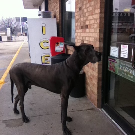 Photos at Ozarkland Gift Shop in Kingdom City