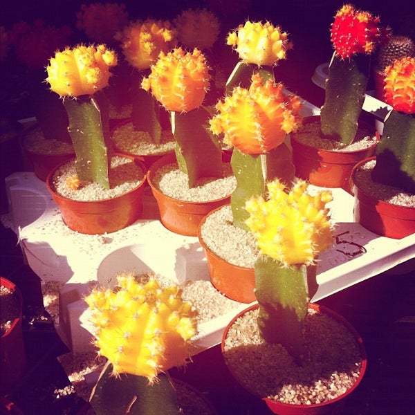 UWS Street fair (Now Closed) Upper West Side Broadway from 86th to 96th