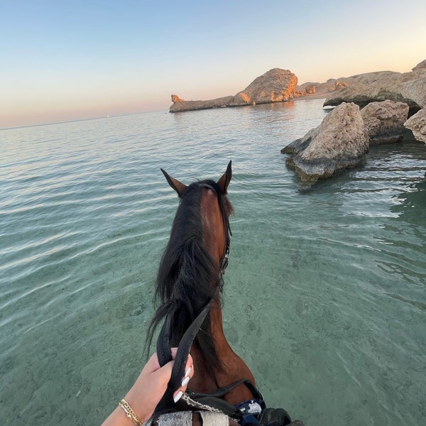 Das Foto wurde bei Mövenpick Resort Sharm el Sheikh von فاطمة am 8/31/2023 aufgenommen