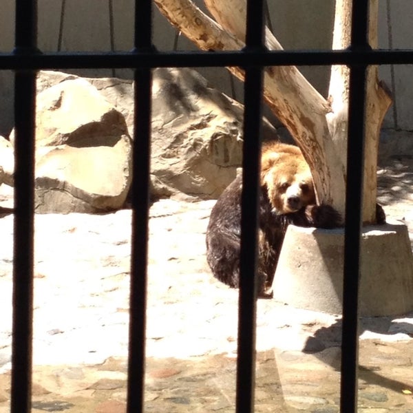 Photo taken at Roosevelt Park Zoo by Tisha on 6/10/2013