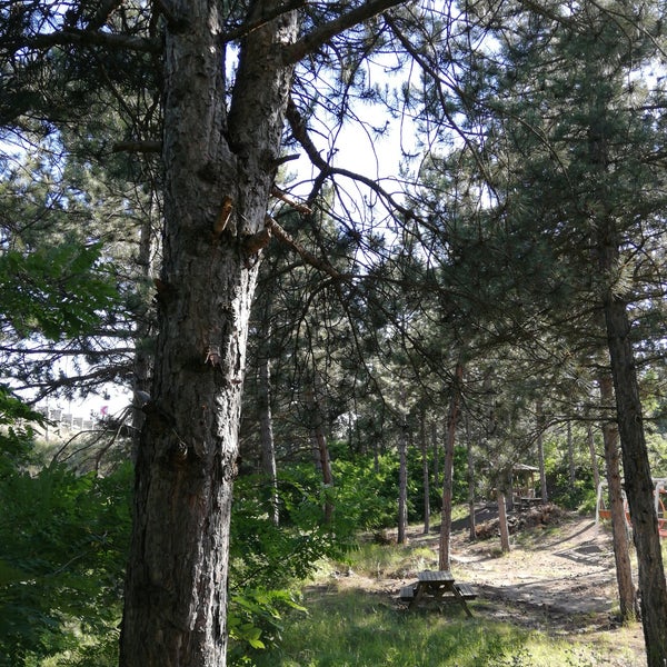 Photo taken at Sıklık Tabiat Parkı by , on 6/26/2019