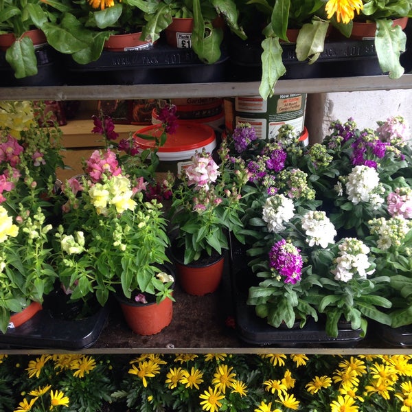 Plants Galore Garden Center