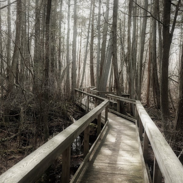 Bass River State Park 1 tip