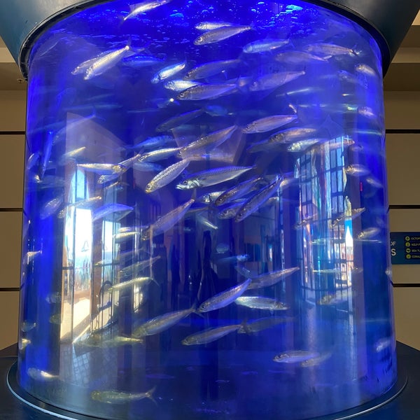 Foto tomada en Birch Aquarium  por Jason el 1/2/2022