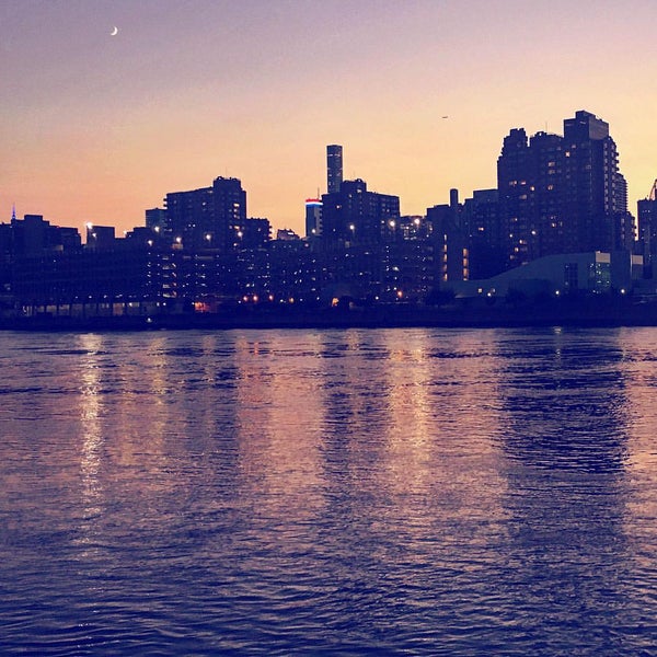 Rainey Park Dog Run Astoria 1 tip