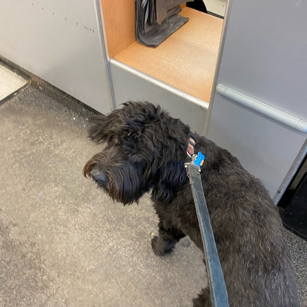 Walgreens Logan Square 11 tips