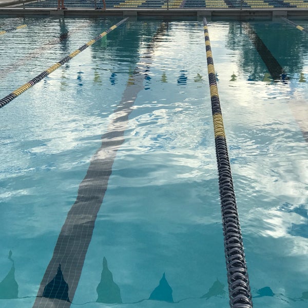 Photos at Cactus Aquatics & Fitness Center - Pool in ...