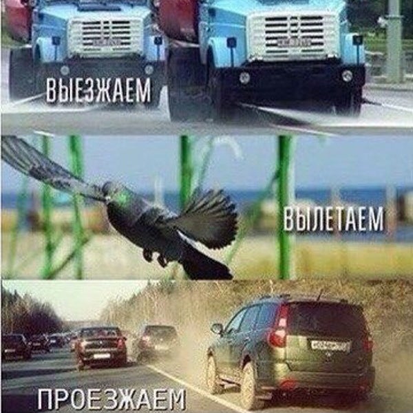 338377068_WDjK_Uej2Jiy-p5lM-LZrJ4yc6tARb