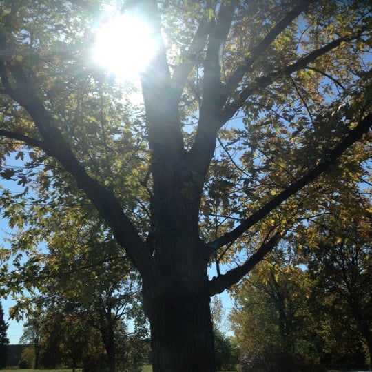 10/19/2012 tarihinde Allie F.ziyaretçi tarafından Niagara University'de çekilen fotoğraf