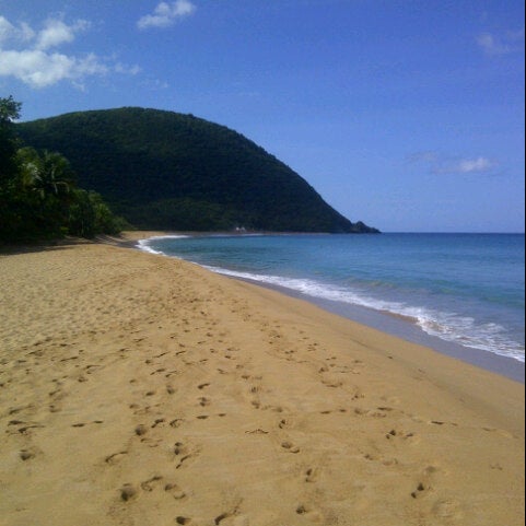 Photos At Plage De Grande Anse Deshaies Guadeloupe