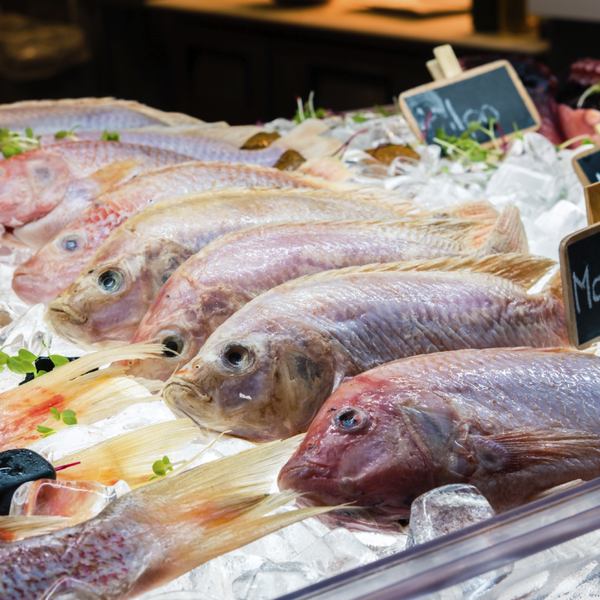 Tantos sabores del mar como prefieras, cada sábado en #FishAnd Meat. En The Market #AllYouCanEat, llámanos al (321) 904.1217.