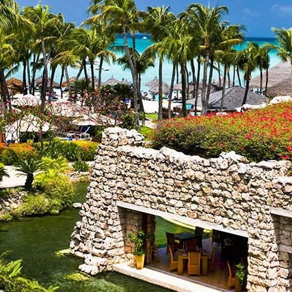 hyatt aruba regency casino spa resort