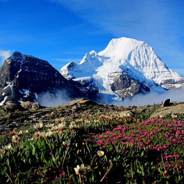 Come and enjoy the beautiful sights at Mount Robson Provincial Park!