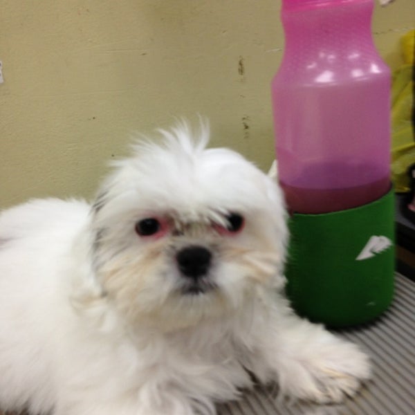 Caballero Grooming Salon atelieryuwa.ciao.jp