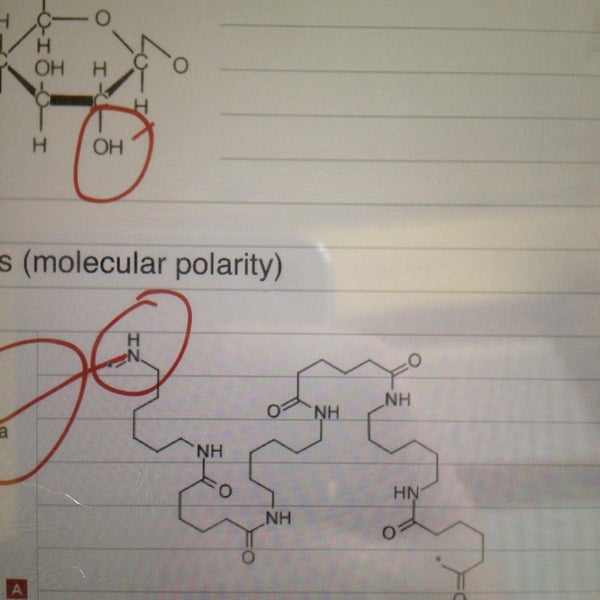 Ground Zero Coffee Shop Marquette 744 Williamson St