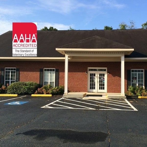 Houston Veterinary Clinic Veterinarian in Warner Robins