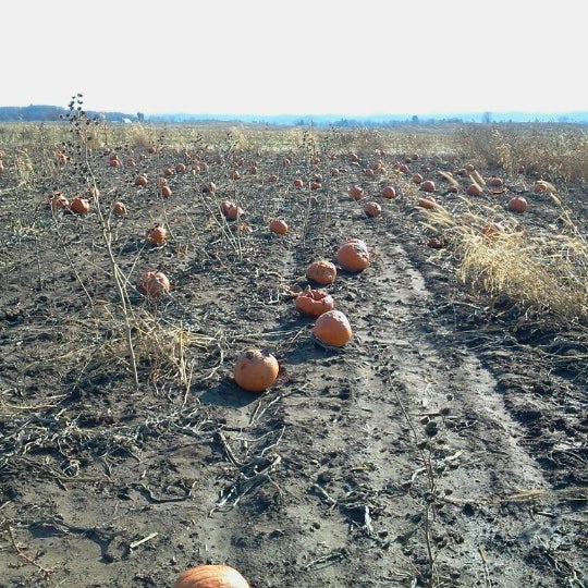 Alma Center, Wi Neighborhood in Alma Center