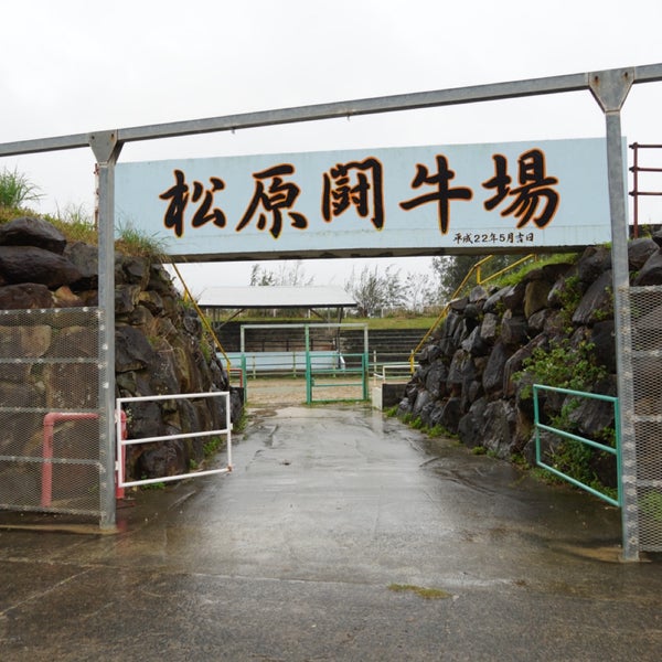 Photos At 松原闘牛場 大島郡 天城町 鹿児島県