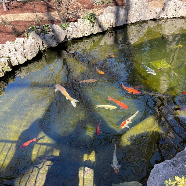 Photo taken at Dallas Arboretum and Botanical Garden by Zeb P. on 2/17/2023