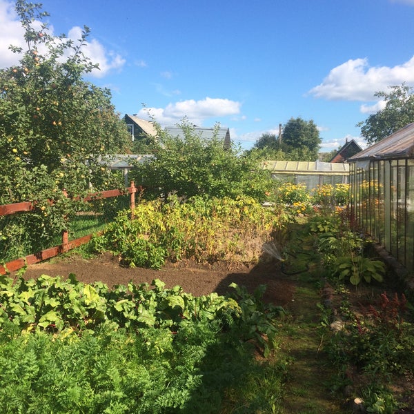 тихвин сады кайвакса 168