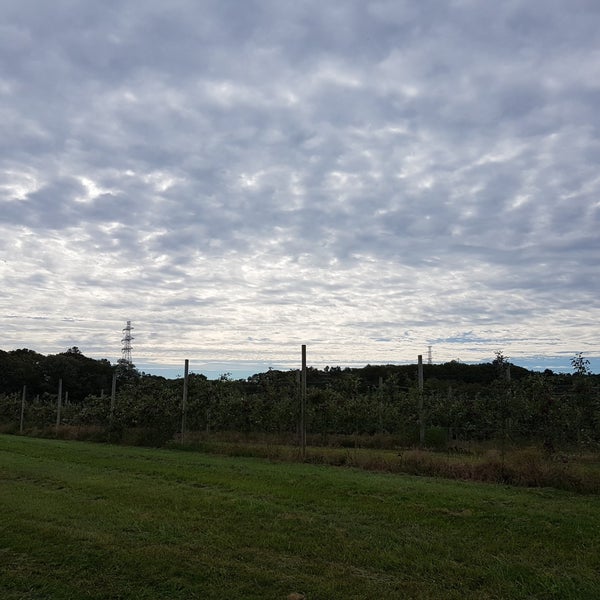 Sunshine Farm Sherborn, MA