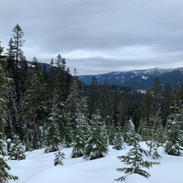 Pass SnoPark Mount Hood, OR