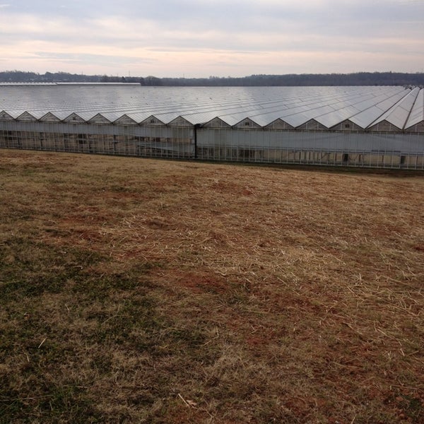 Metrolina Greenhouse