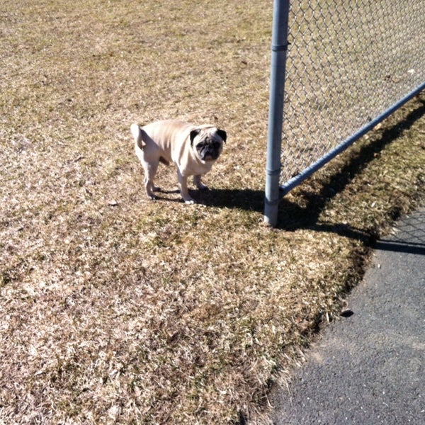 East Mountain Park Park in Waterbury