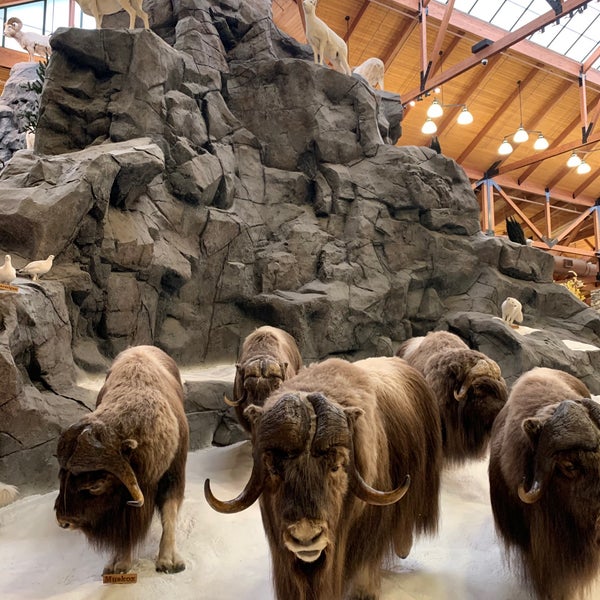 Cabela's Triadelphia, WV