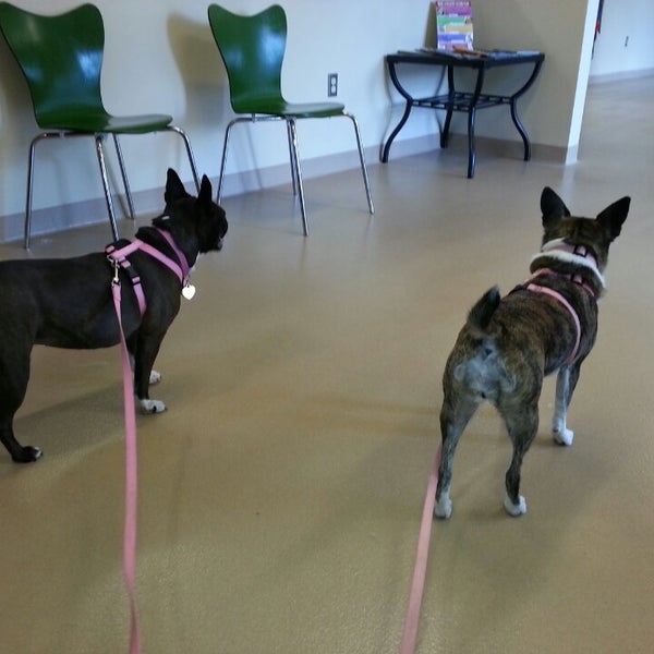 Bijou Animal Hospital PC Pet Service in Colorado Springs