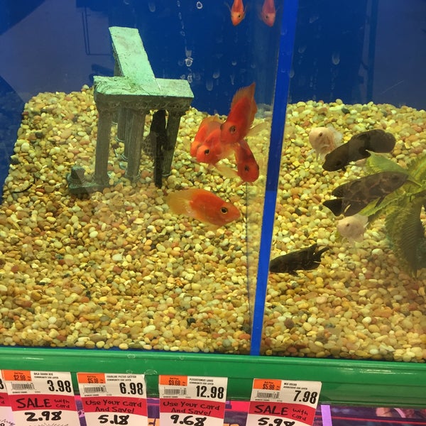 Pet supplies plus hot sale aquarium