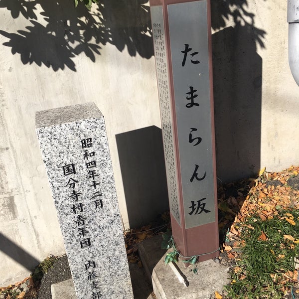 Photos At 多摩蘭坂 Road In 国立市