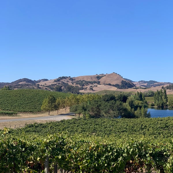Excellent wines and scenery.  Michelle took great of us. Tasting menu was superb and the cheese plate was delightful. Call for same day appointments!