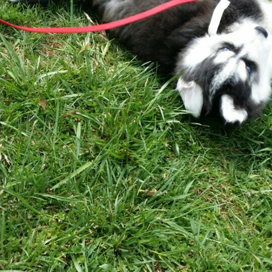 The Gazebo Front Royal, VA