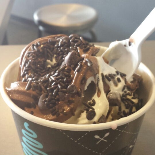 di'lishi Frozen Yogurt Bar Dessert Shop